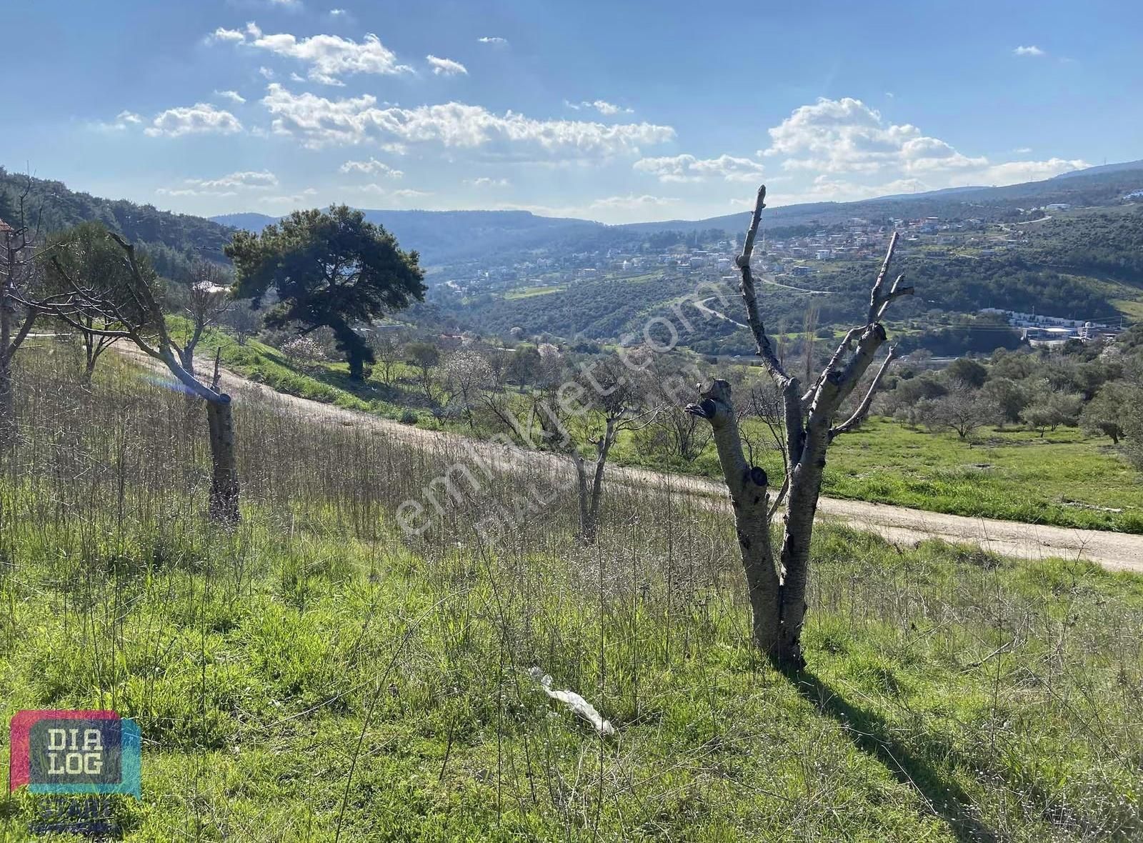 Karaçam'da Manisa Yoluna Yakın Tarla - Görsel 23