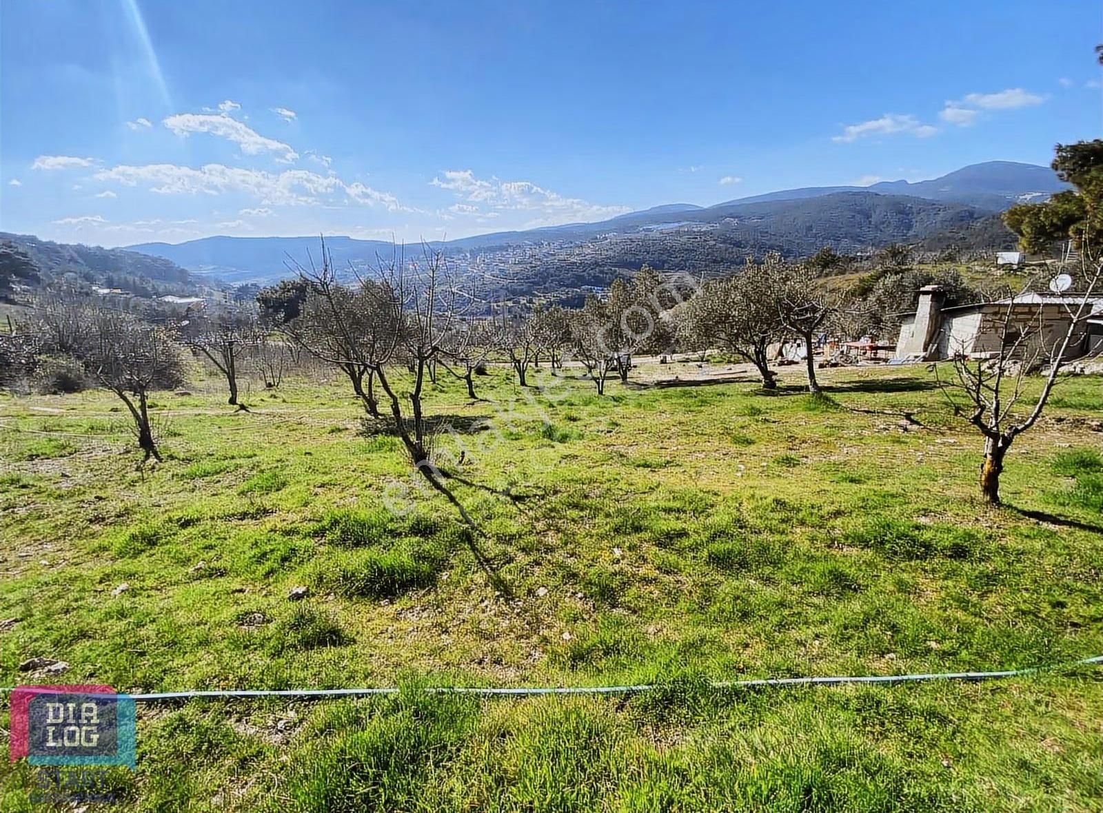 Karaçam'da Manisa Yoluna Yakın Tarla - Görsel 9