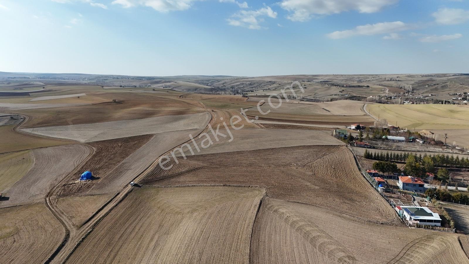 Gölbaşı Velihimmetli Köy Yanı 13.538m2 Tek Tapu Tarla Krdnz Emlk - Görsel 6