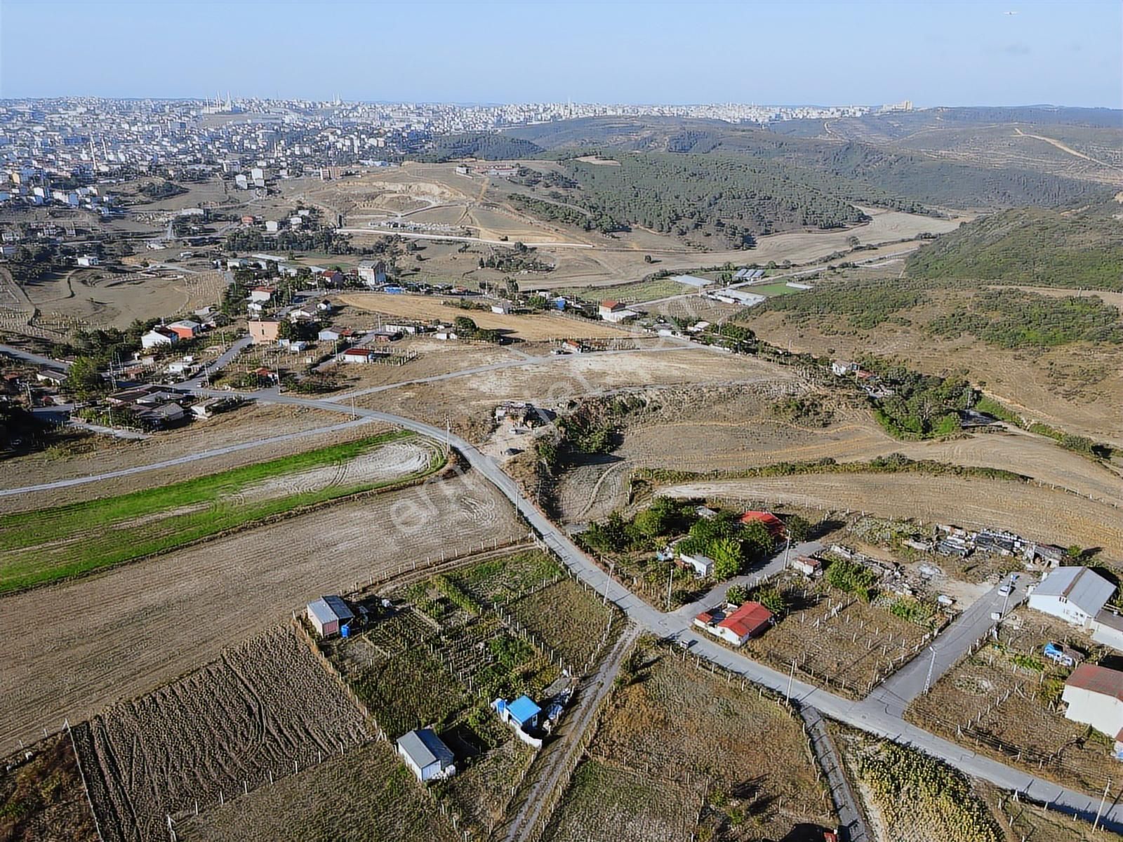 Arnavutköy Hacımaşlı Satılık Bahçe - Görsel 12