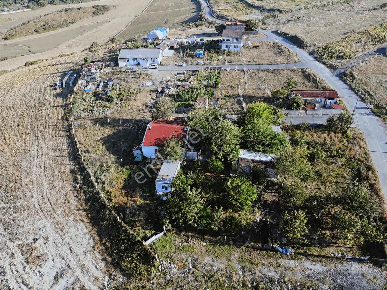 Arnavutköy Hacımaşlı Satılık Bahçe - Görsel 24