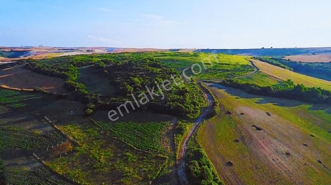 Arnavutköy Boyalık Satılık Tek Tapu Arsa - Görsel 9