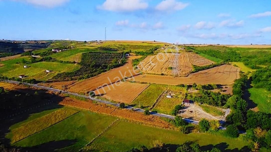 Arnavutköy Boyalık Satılık Tek Tapu Arsa - Görsel 3