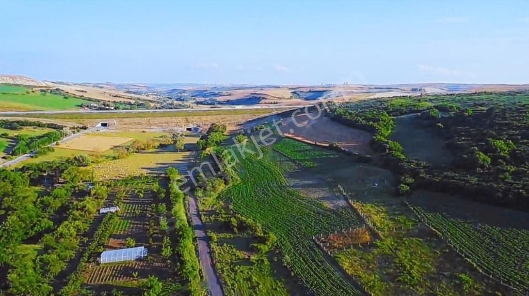 Arnavutköy Boyalık Satılık Tek Tapu Arsa - Görsel 7