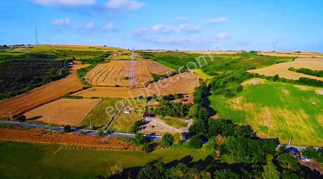 Arnavutköy Boyalık Satılık Tek Tapu Arsa - Görsel 6