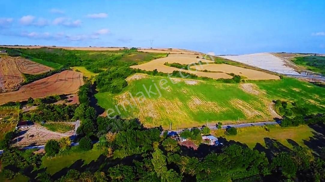 Arnavutköy Boyalık Satılık Tek Tapu Arsa - Görsel 16