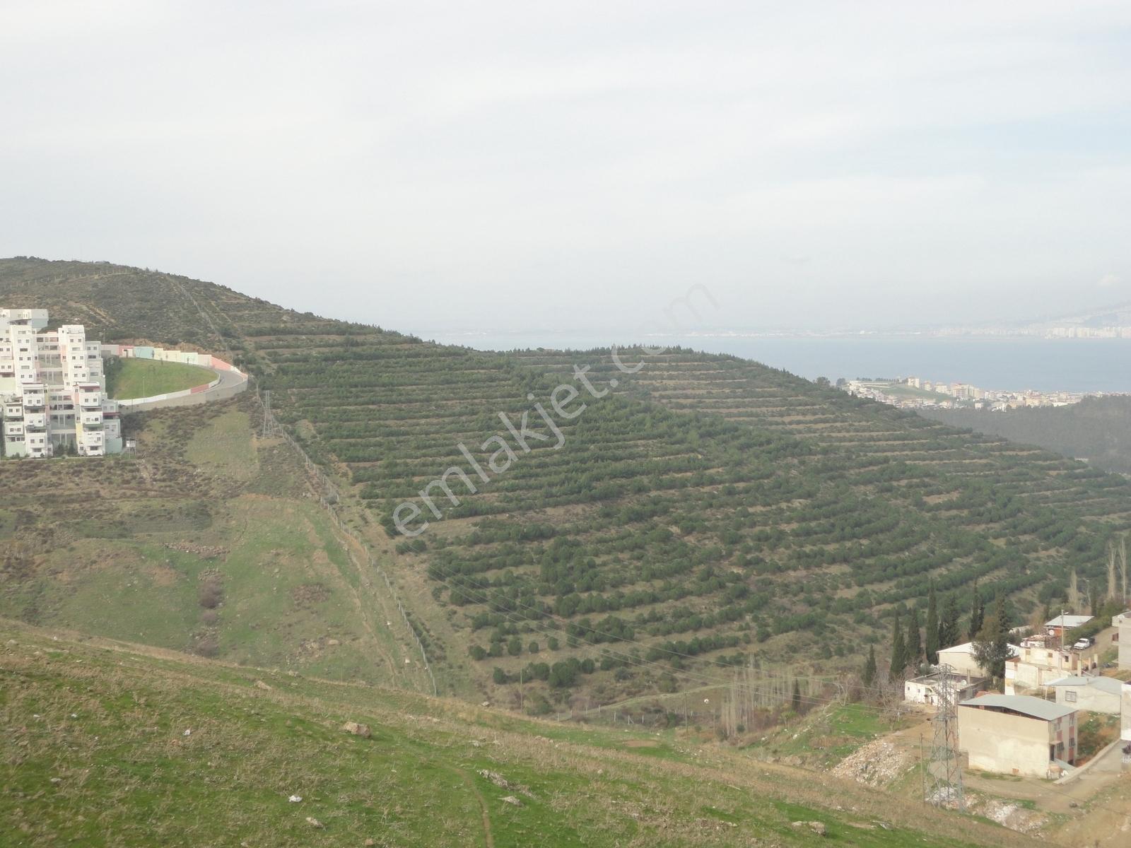 Mühendis Emlak'tan Full Deniz Manzaralı 150 M2 Tek Tapu Balçova - Görsel 10