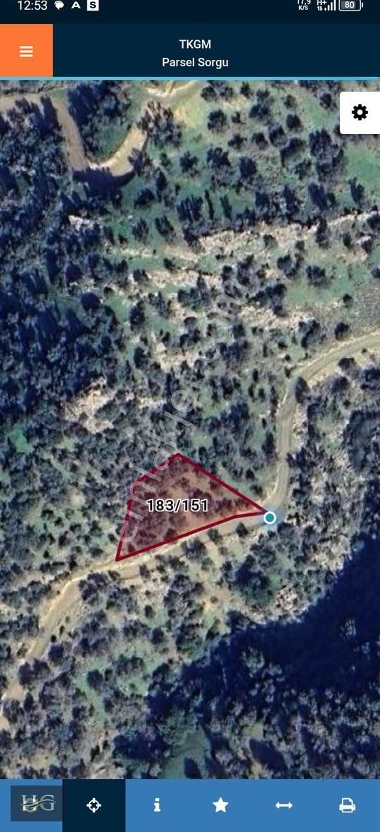 Yamanlar Da Tek Tapu Zeytinlik - Görsel 12