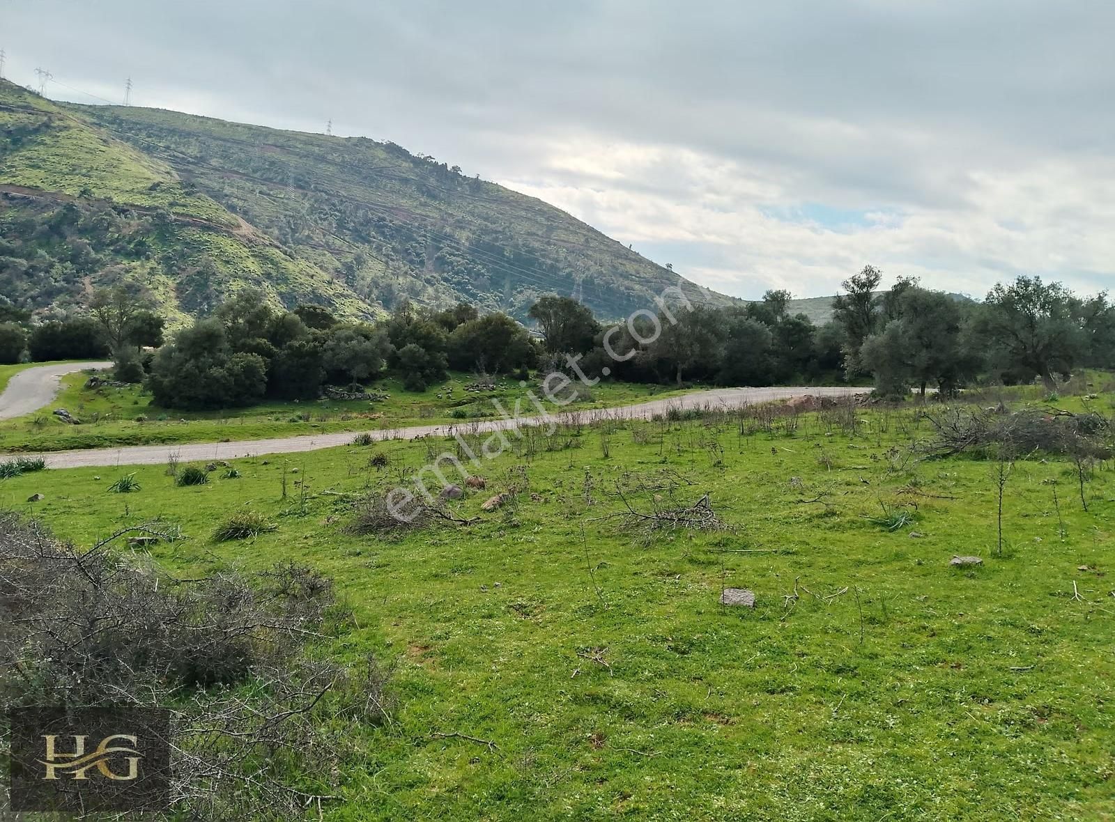 Yamanlar Da Tek Tapu Zeytinlik - Görsel 13