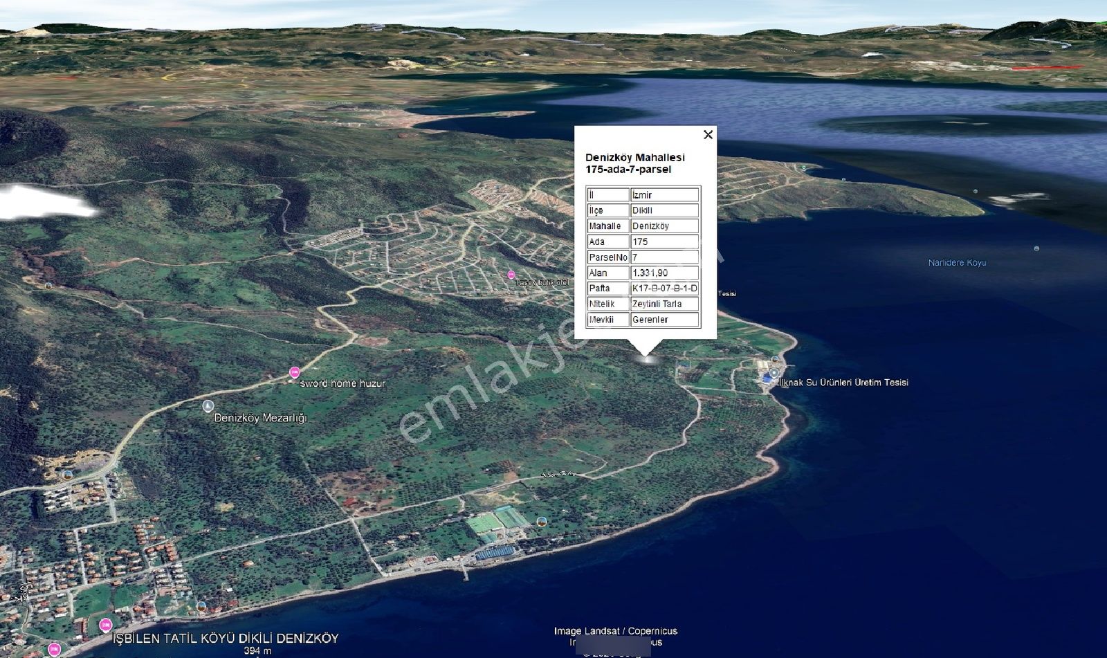 Doğanın İçinde, Denize Yakın: Dikili Denizköyde Müstakil Parsel - Görsel 5