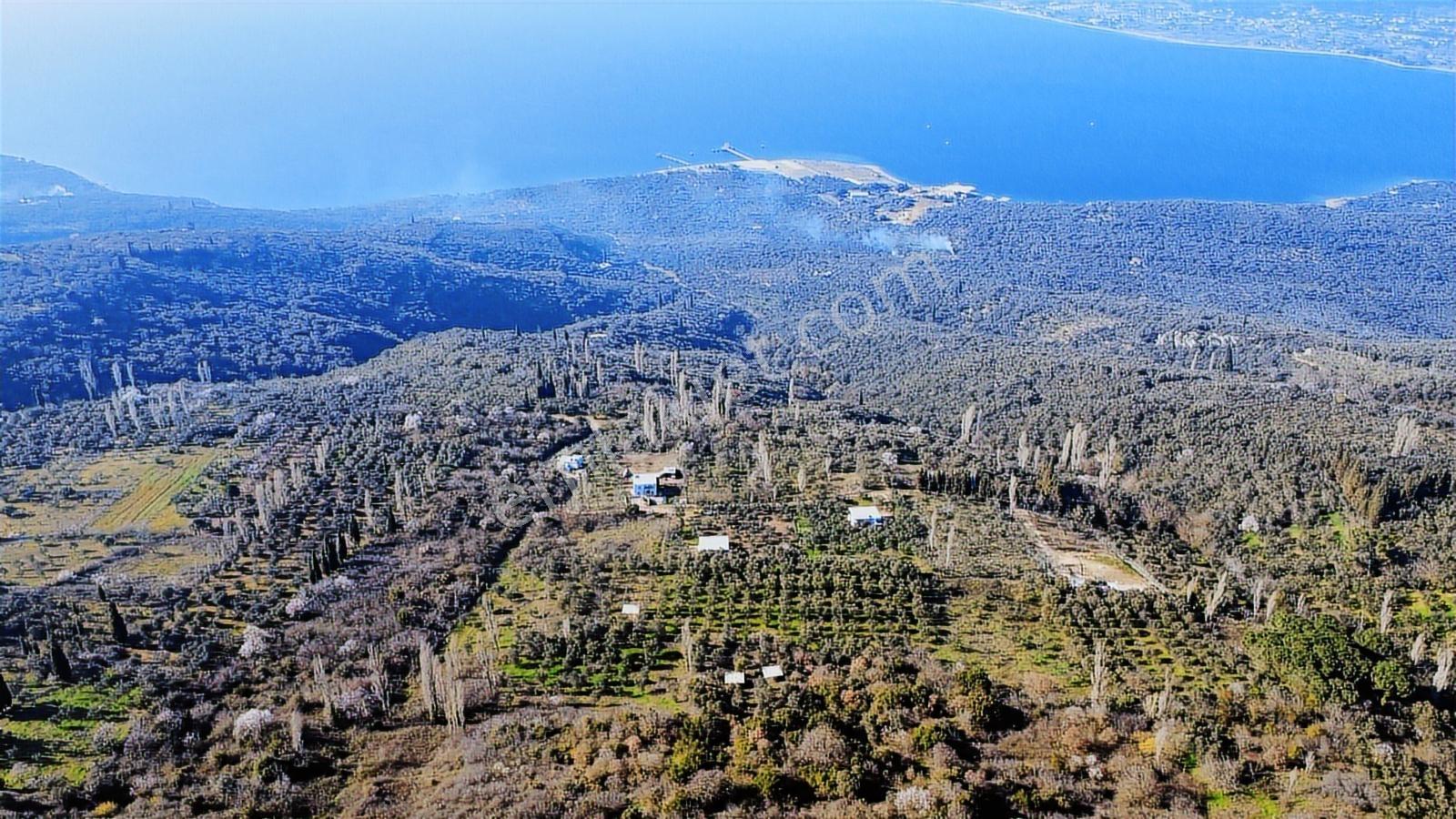 Edincikte Deniz Manzaralı 2.970 M² Satılık Bağ - Görsel 10