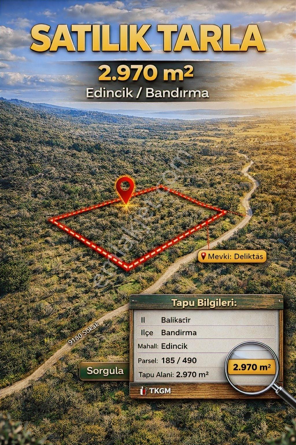Edincikte Deniz Manzaralı 2.970 M² Satılık Bağ - Görsel 19