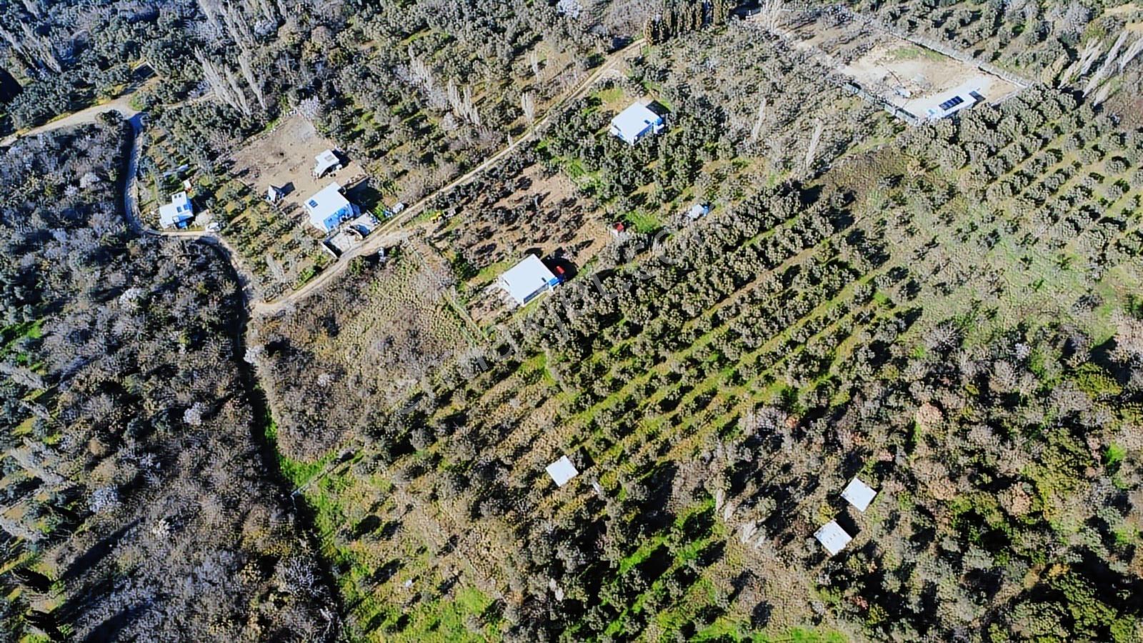 Edincikte Deniz Manzaralı 2.970 M² Satılık Bağ - Görsel 18