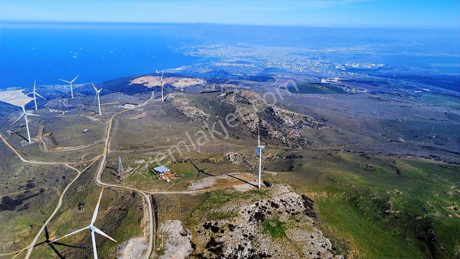Edincikte Deniz Manzaralı 2.970 M² Satılık Bağ - Görsel 25