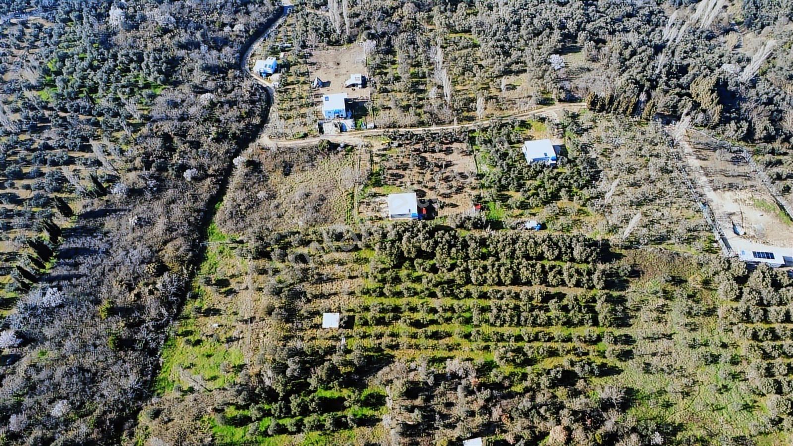 Edincikte Deniz Manzaralı 2.970 M² Satılık Bağ - Görsel 2