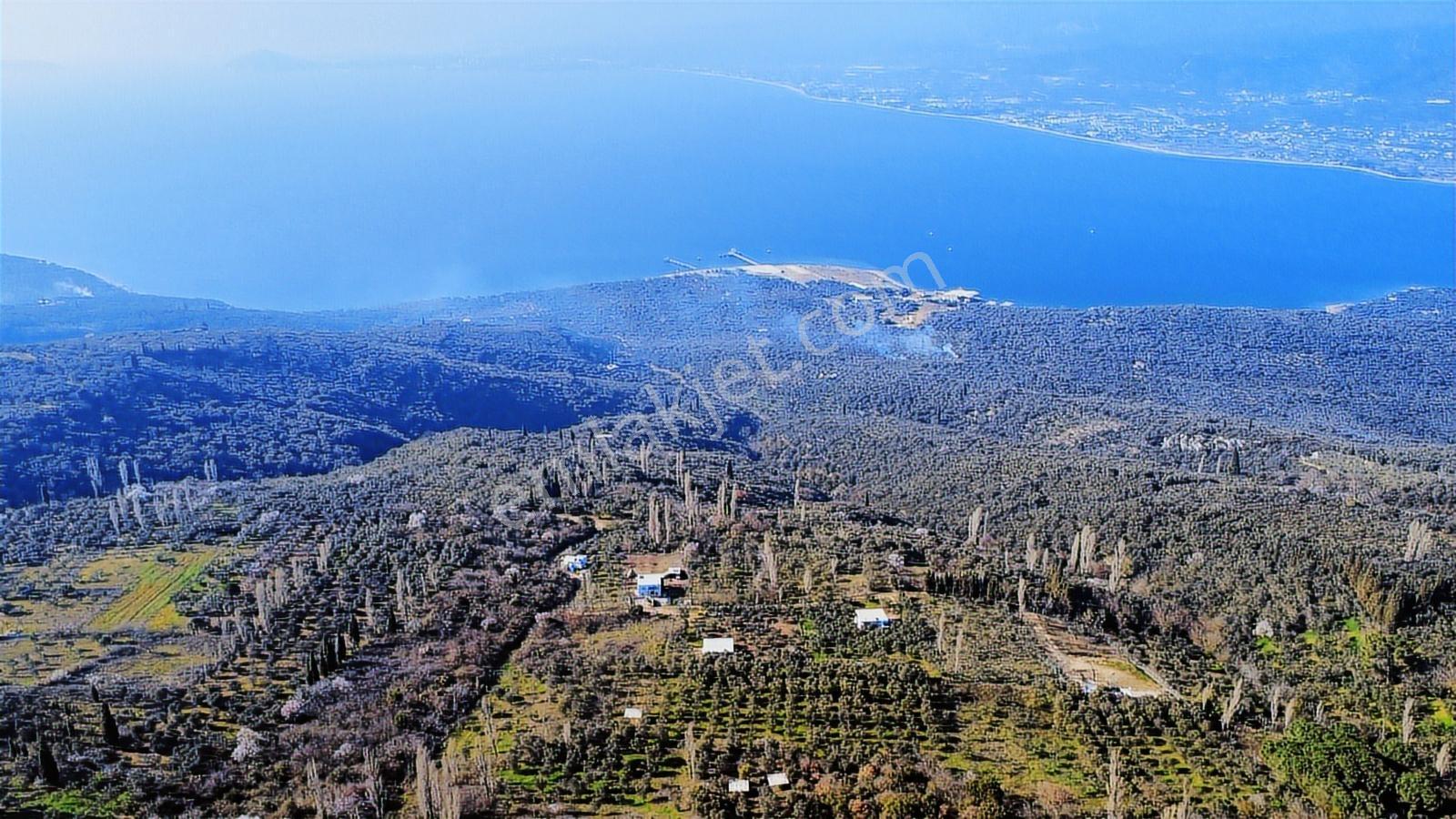 Edincikte Deniz Manzaralı 2.970 M² Satılık Bağ - Görsel 12
