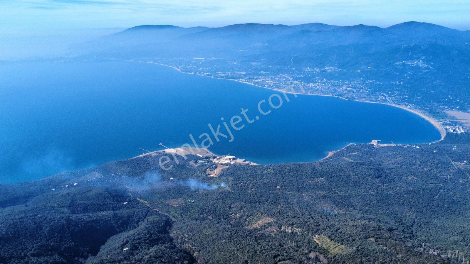 Edincikte Deniz Manzaralı 2.970 M² Satılık Bağ - Görsel 22