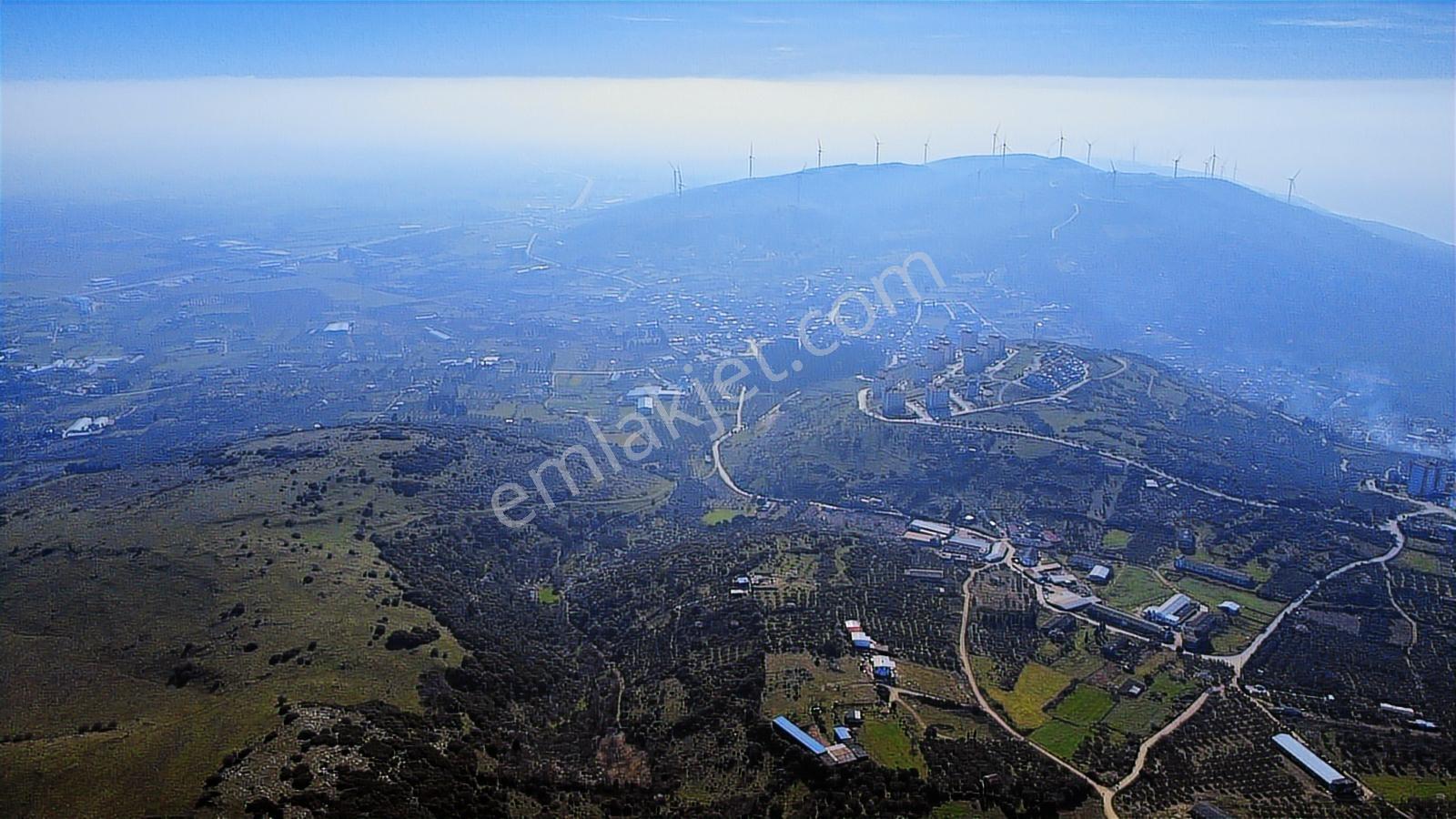 Edincikte Deniz Manzaralı 2.970 M² Satılık Bağ - Görsel 11