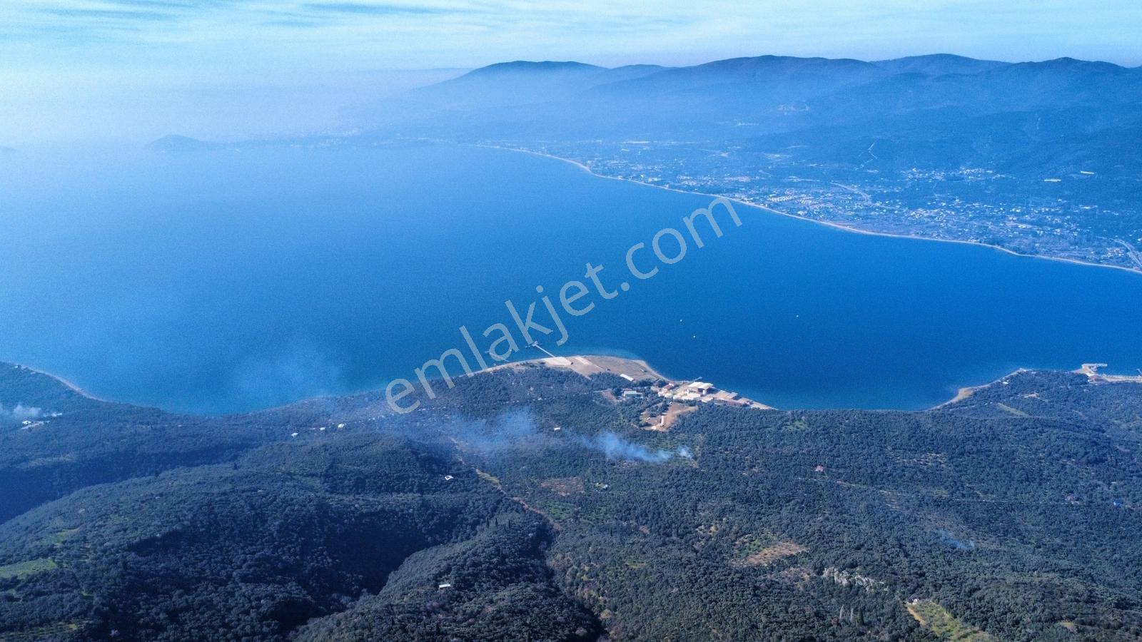 Edincikte Deniz Manzaralı 2.970 M² Satılık Bağ - Görsel 23