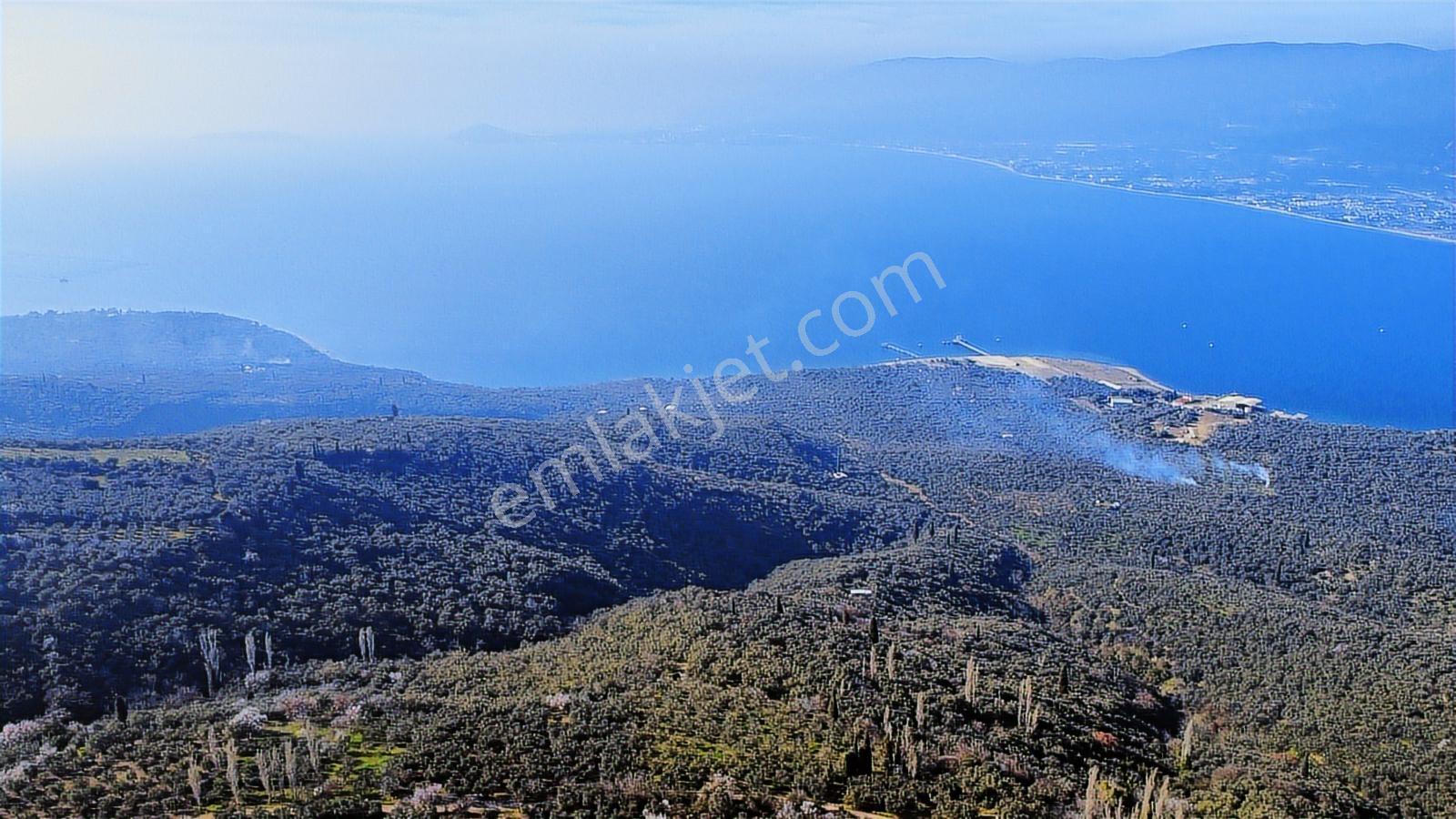 Edincikte Deniz Manzaralı 2.970 M² Satılık Bağ - Görsel 27