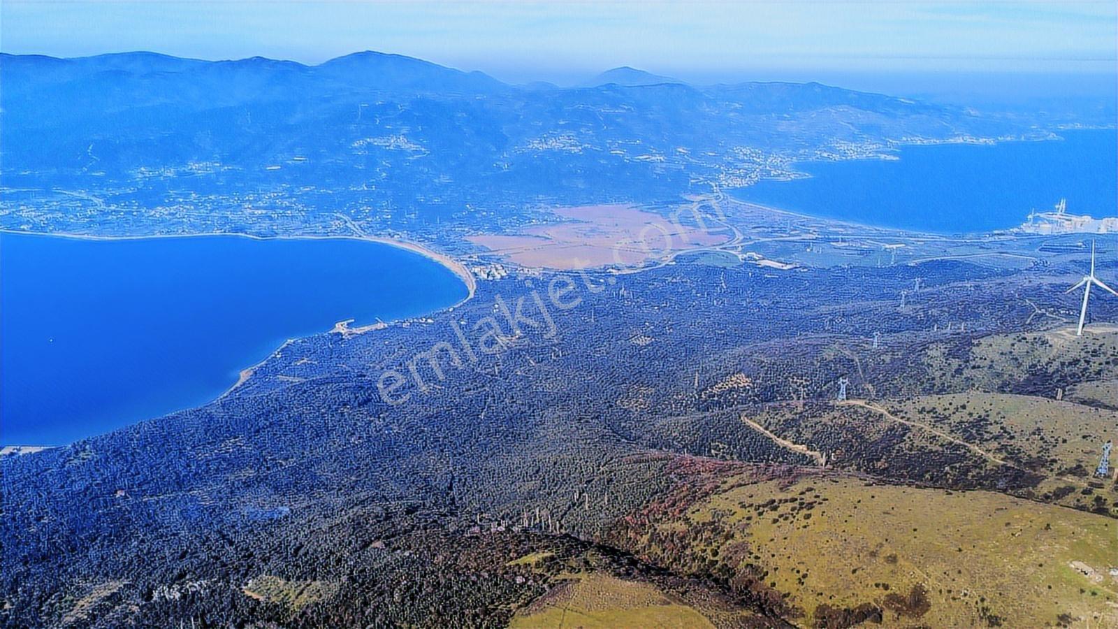 Edincikte Deniz Manzaralı 2.970 M² Satılık Bağ - Görsel 24