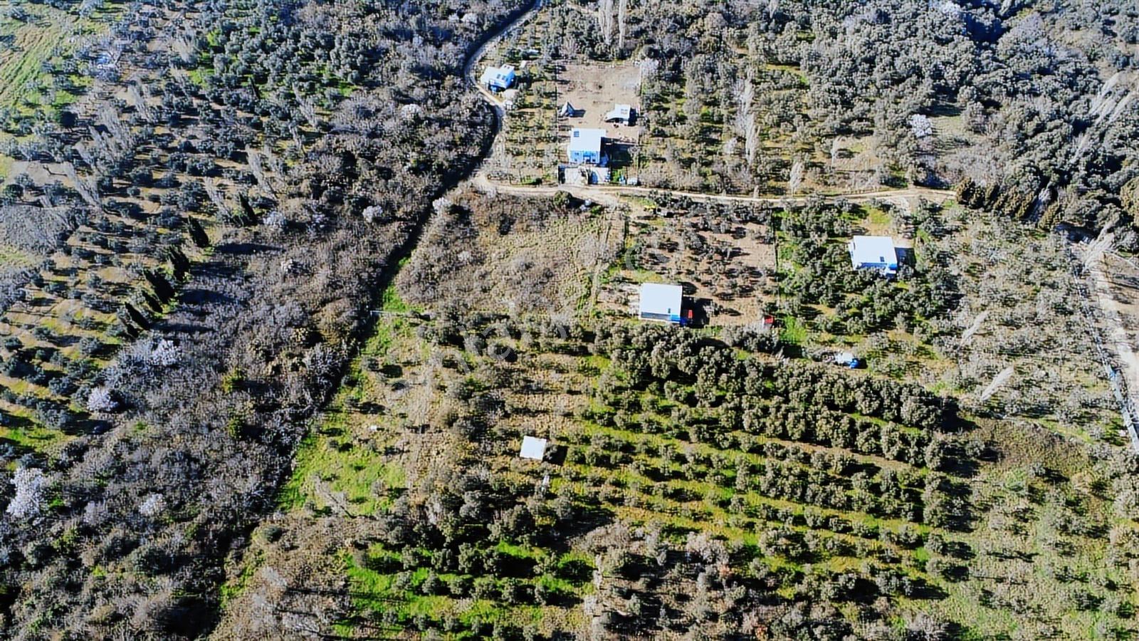 Edincikte Deniz Manzaralı 2.970 M² Satılık Bağ - Görsel 8