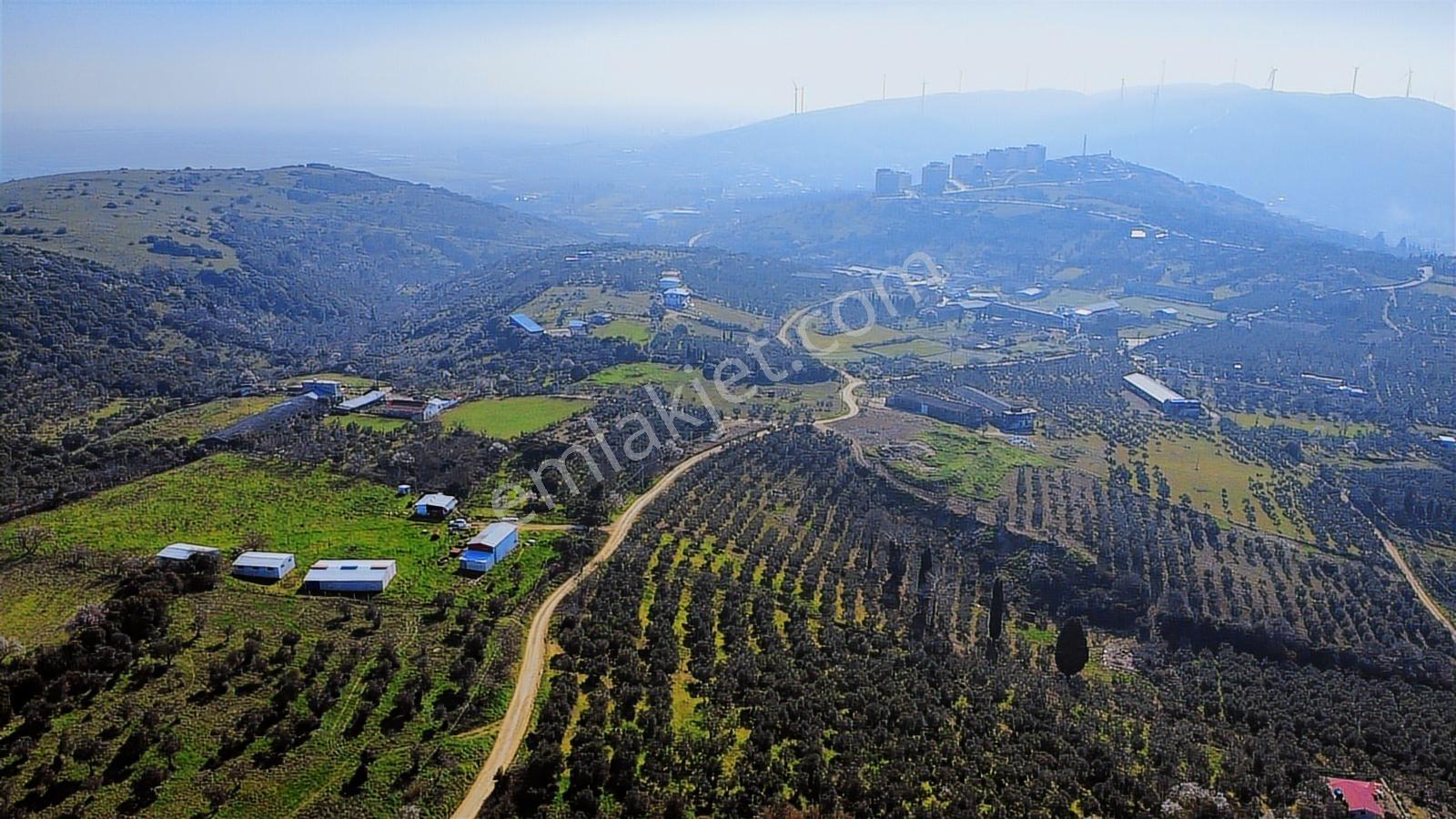 Edincikte Deniz Manzaralı 2.970 M² Satılık Bağ - Görsel 28