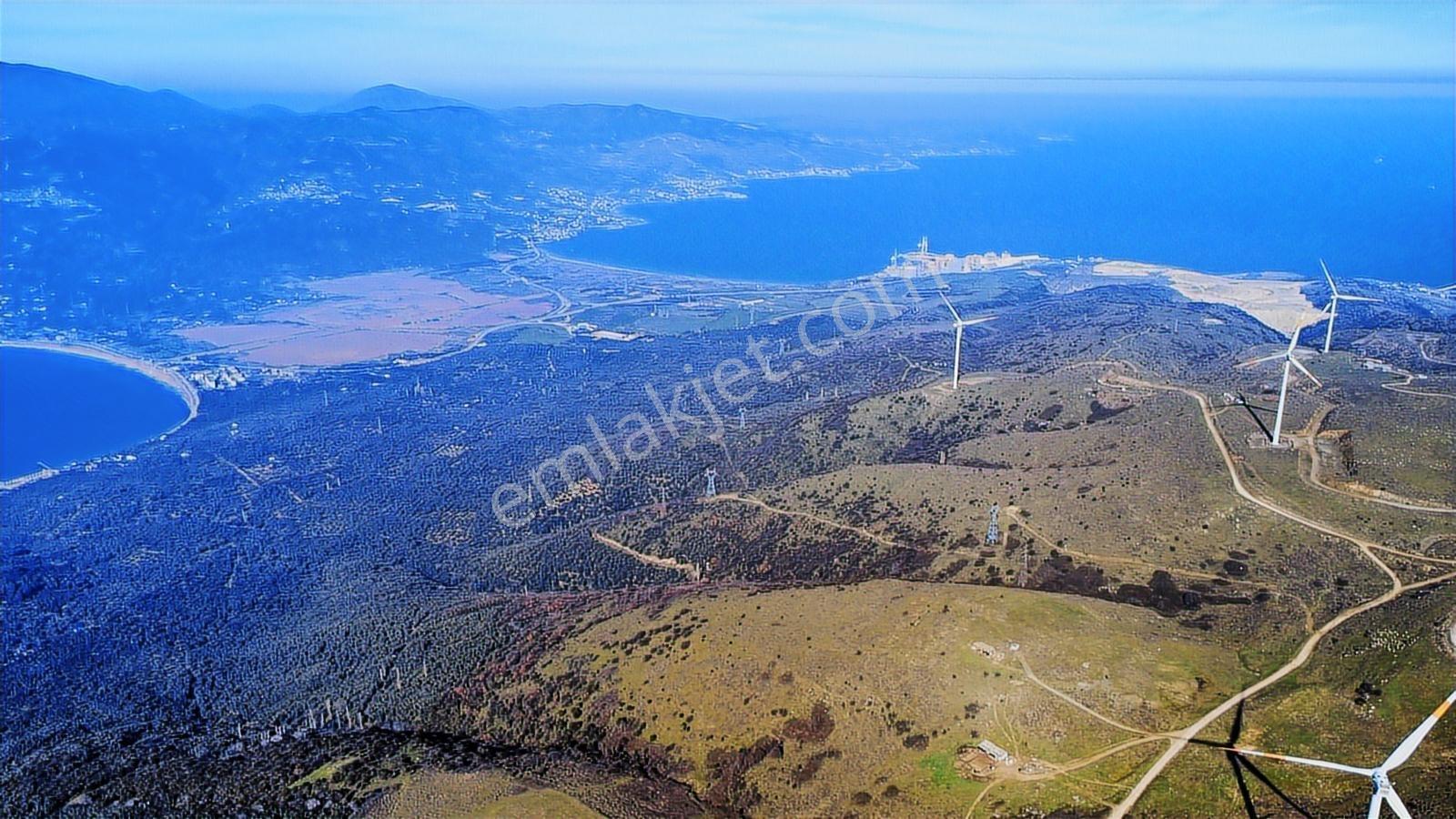 Edincikte Deniz Manzaralı 2.970 M² Satılık Bağ - Görsel 26