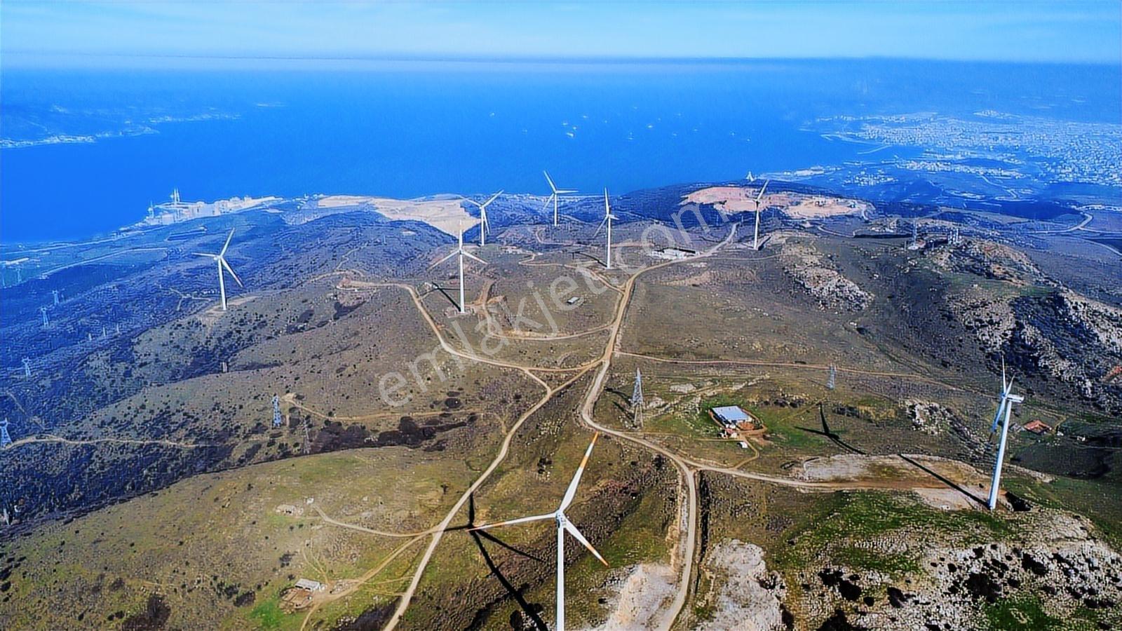 Edincikte Deniz Manzaralı 2.970 M² Satılık Bağ - Görsel 3