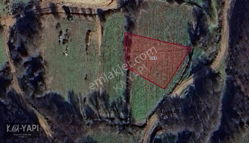 Yarış Köyünde 1440 M2 Fırsat Bahçe - Görsel 3