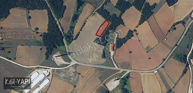 Yarış Köyünde Orman İçerisinde 2100 M2 Fırsat Bahçe