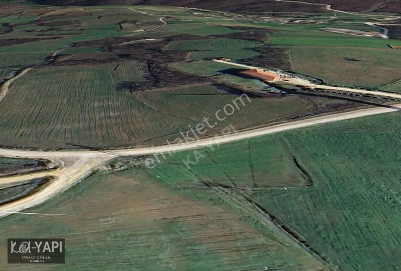 Yarış Köyünde Orman İçerisinde 2100 M2 Fırsat Bahçe - Görsel 6