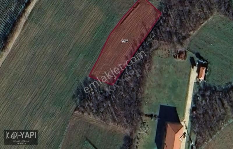 Yarış Köyünde Orman İçerisinde 2100 M2 Fırsat Bahçe - Görsel 5