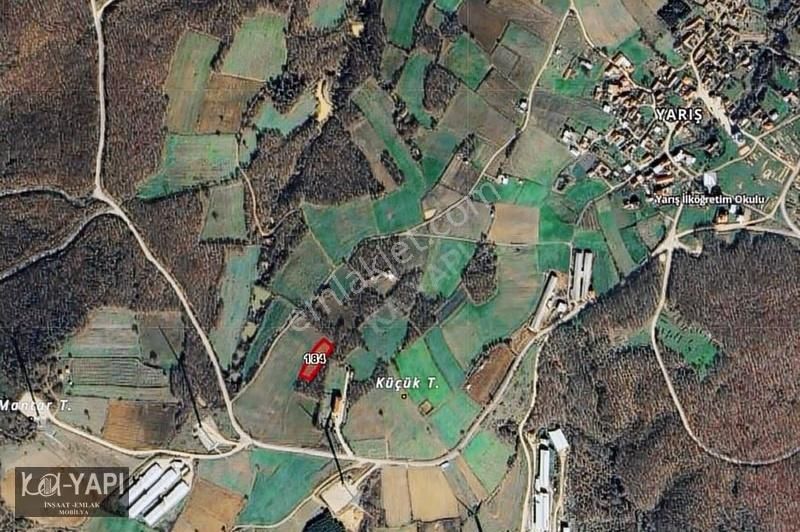 Yarış Köyünde Orman İçerisinde 2100 M2 Fırsat Bahçe - Görsel 2