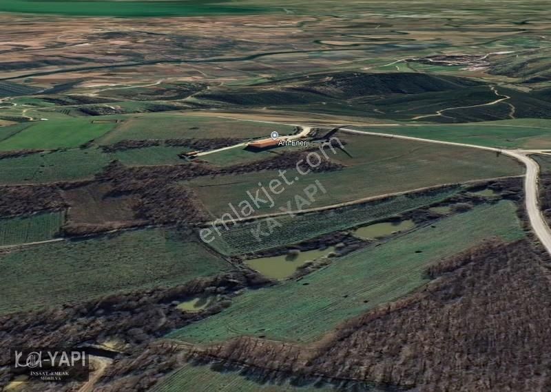 Yarış Köyünde Orman İçerisinde 2100 M2 Fırsat Bahçe - Görsel 3