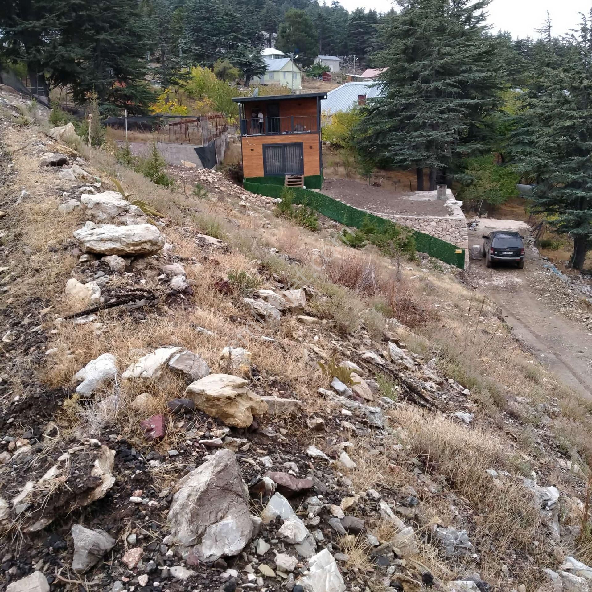 Antalya'nın En Yakın Yaylası'nda Gatıran (sedir) Ağaçların Arasında - Görsel 5