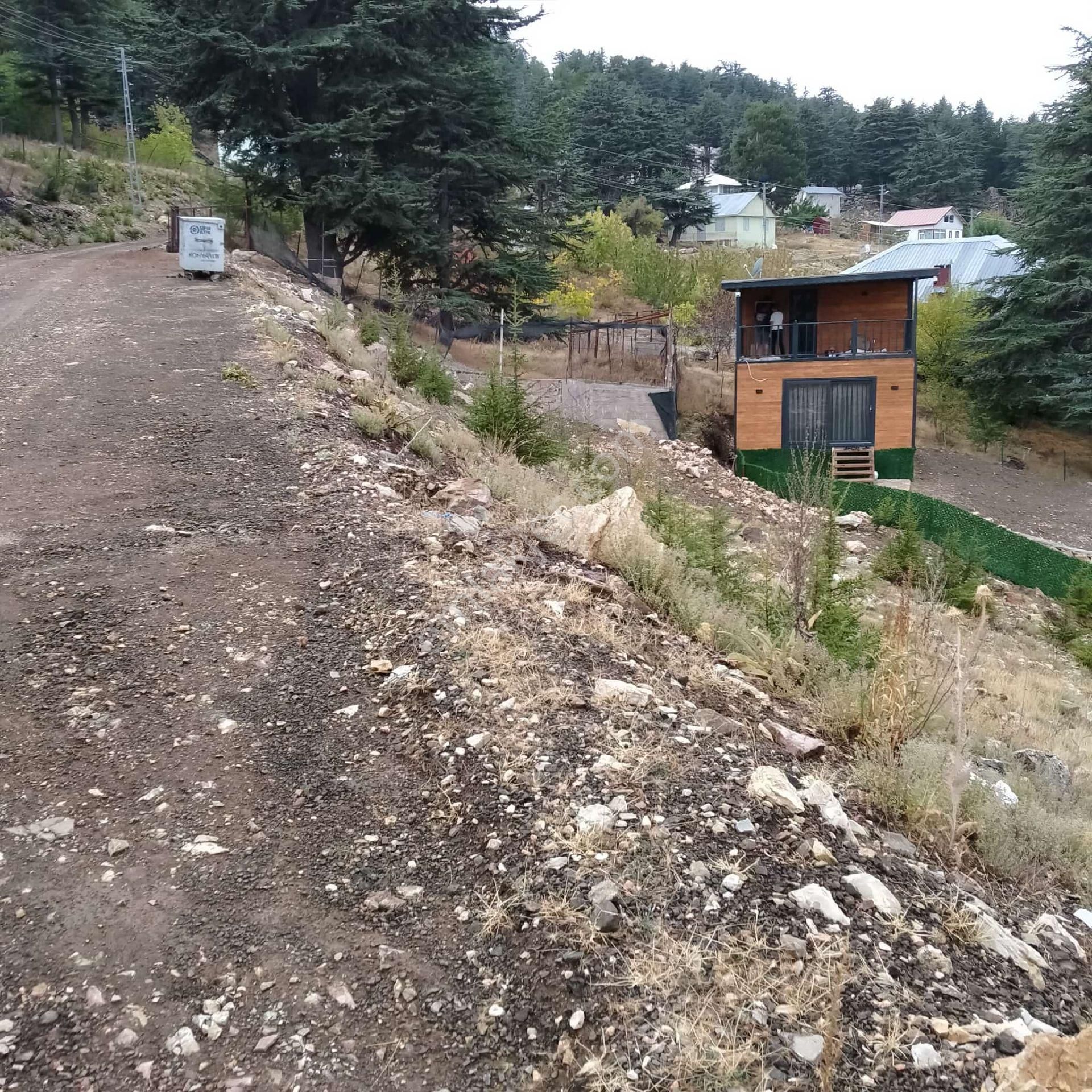 Antalya'nın En Yakın Yaylası'nda Gatıran (sedir) Ağaçların Arasında - Görsel 4