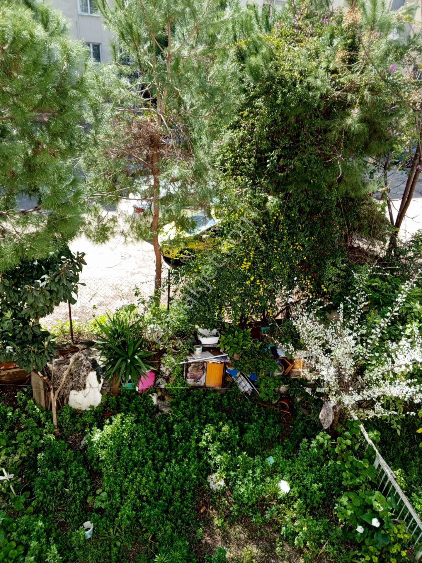 İzmir / Bayraklı Merkezi Konumda Uygun Daire - Görsel 25