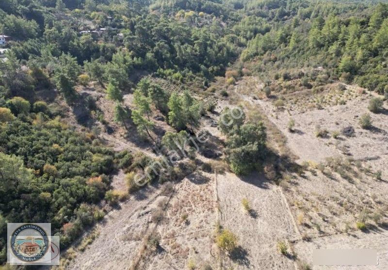 Muğla Ula Armutçuk'ta Ormanla Komşu, 20.556 M² Yatırımlık Arazi