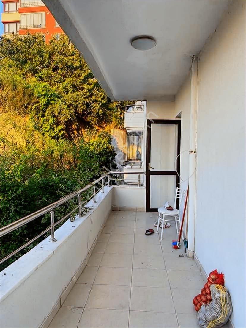 Dikmen Akpınar Orman Manzaralı Katta 4+1 Daire - Görsel 6