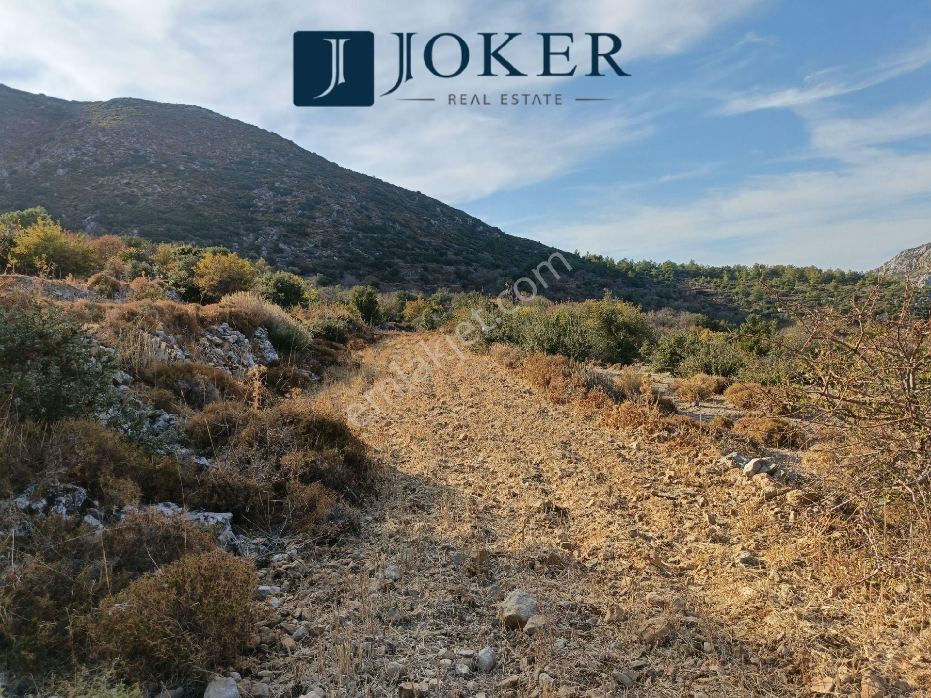 Joker: Marmaris Söğüt Resmi Yol Cepheli Doğa İçinde Tarla - Görsel 6