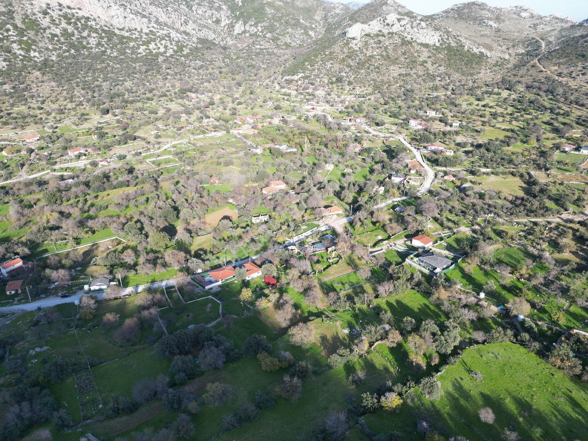 Joker: Marmaris Söğüt Resmi Yol Cepheli Doğa İçinde Tarla - Görsel 16