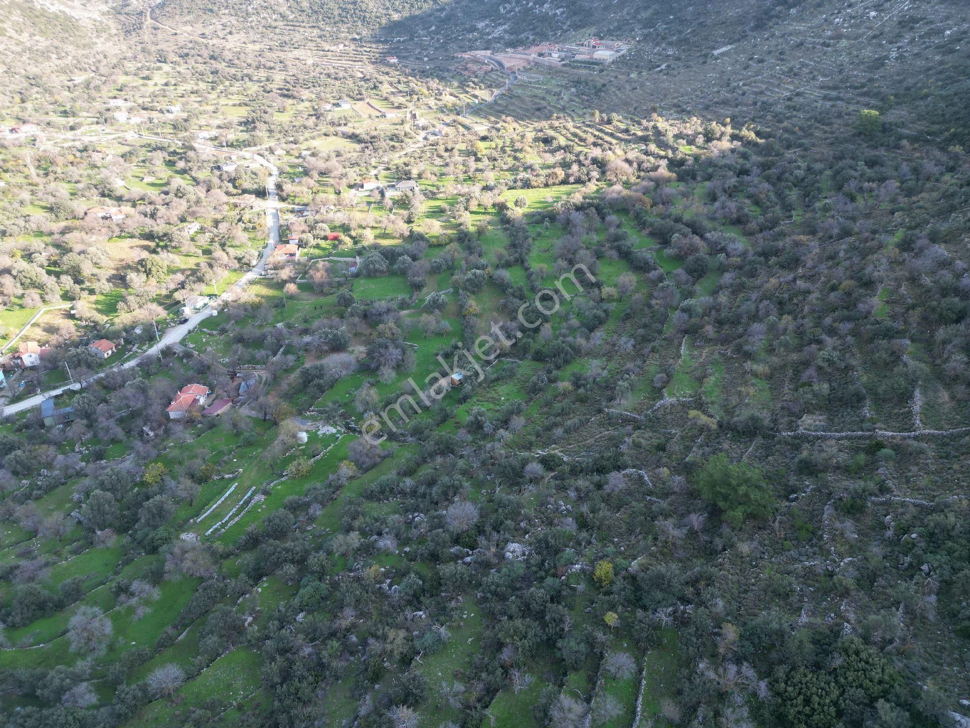 Joker: Marmaris Söğüt Resmi Yol Cepheli Doğa İçinde Tarla - Görsel 10