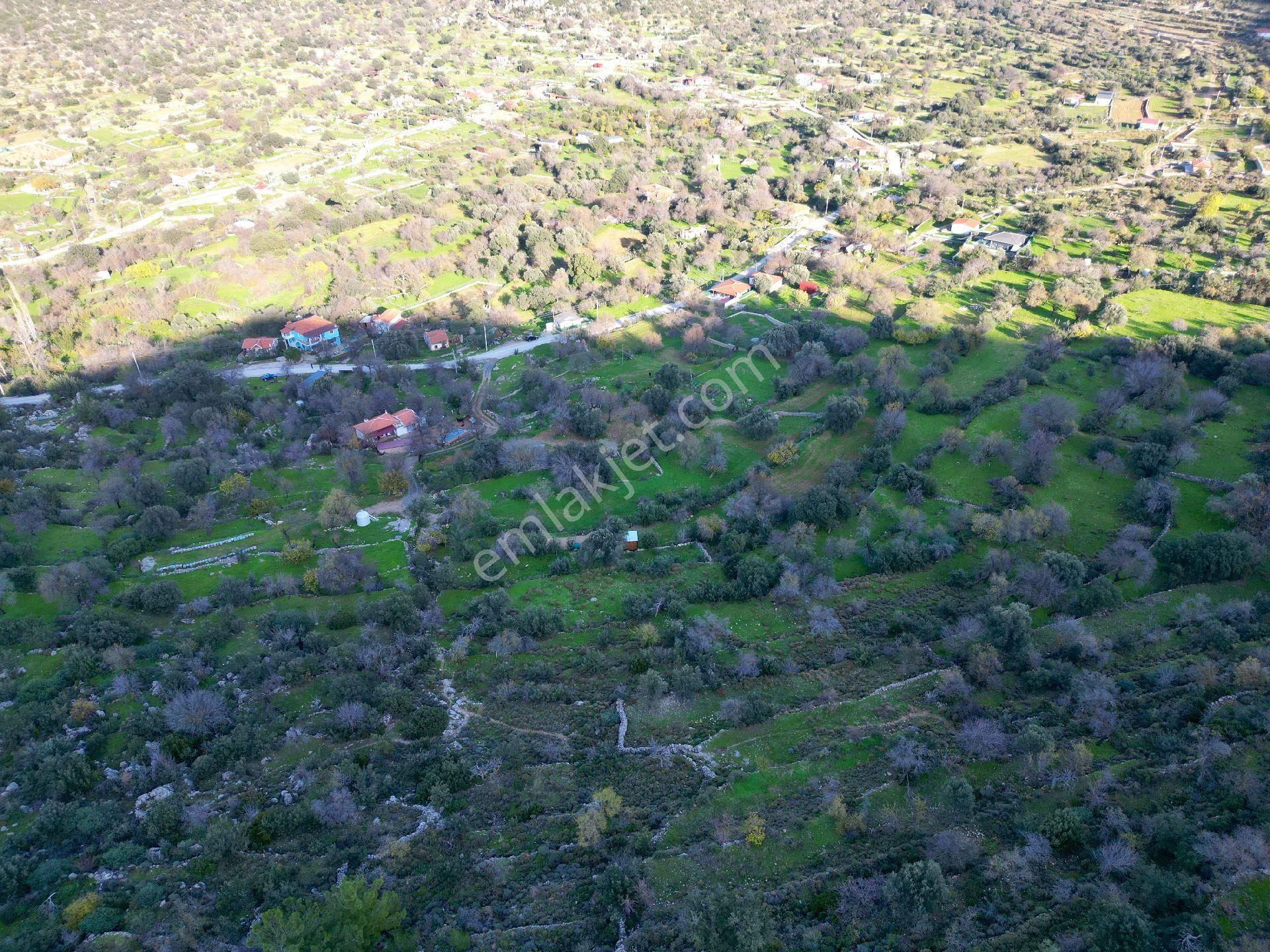 Joker: Marmaris Söğüt Resmi Yol Cepheli Doğa İçinde Tarla - Görsel 14