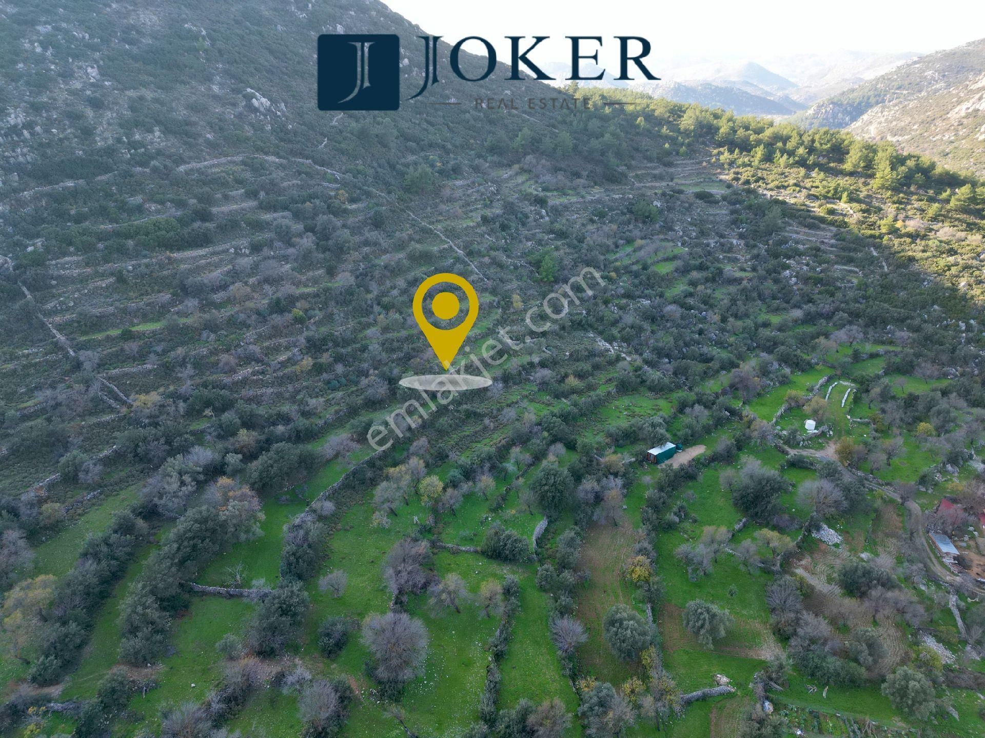 Joker: Marmaris Söğüt Resmi Yol Cepheli Doğa İçinde Tarla - Görsel 2