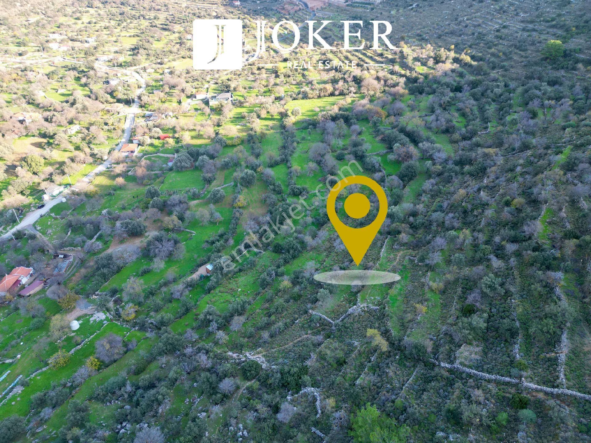 Joker: Marmaris Söğüt Resmi Yol Cepheli Doğa İçinde Tarla - Görsel 5