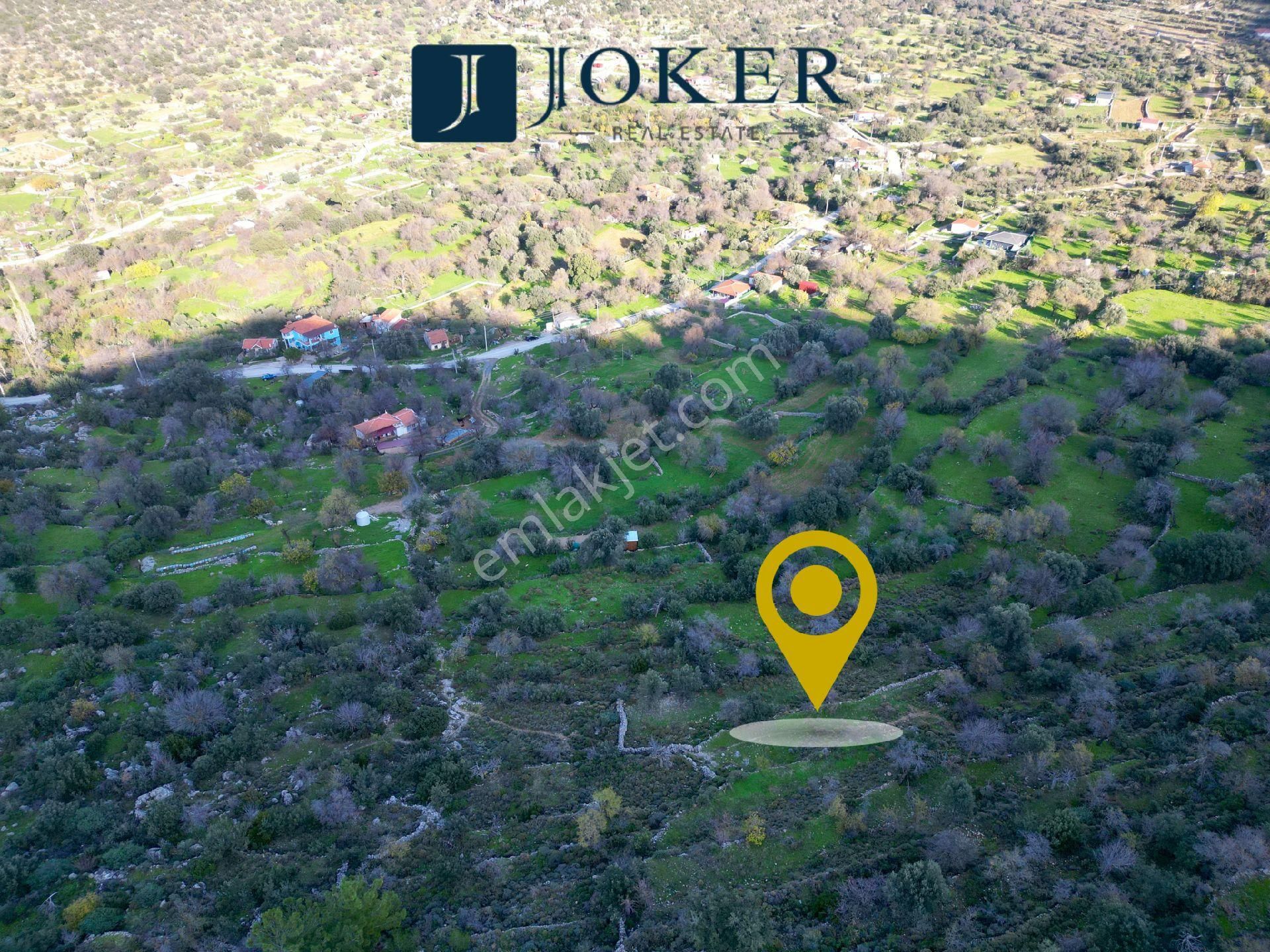 Joker: Marmaris Söğüt Resmi Yol Cepheli Doğa İçinde Tarla - Görsel 3