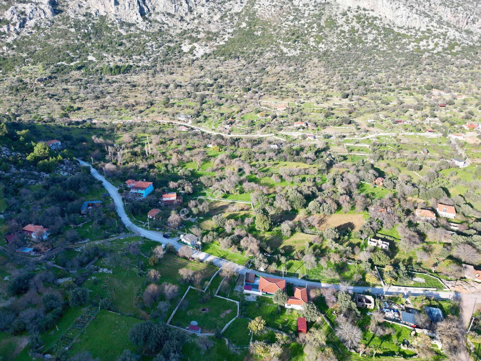 Joker: Marmaris Söğüt Resmi Yol Cepheli Doğa İçinde Tarla