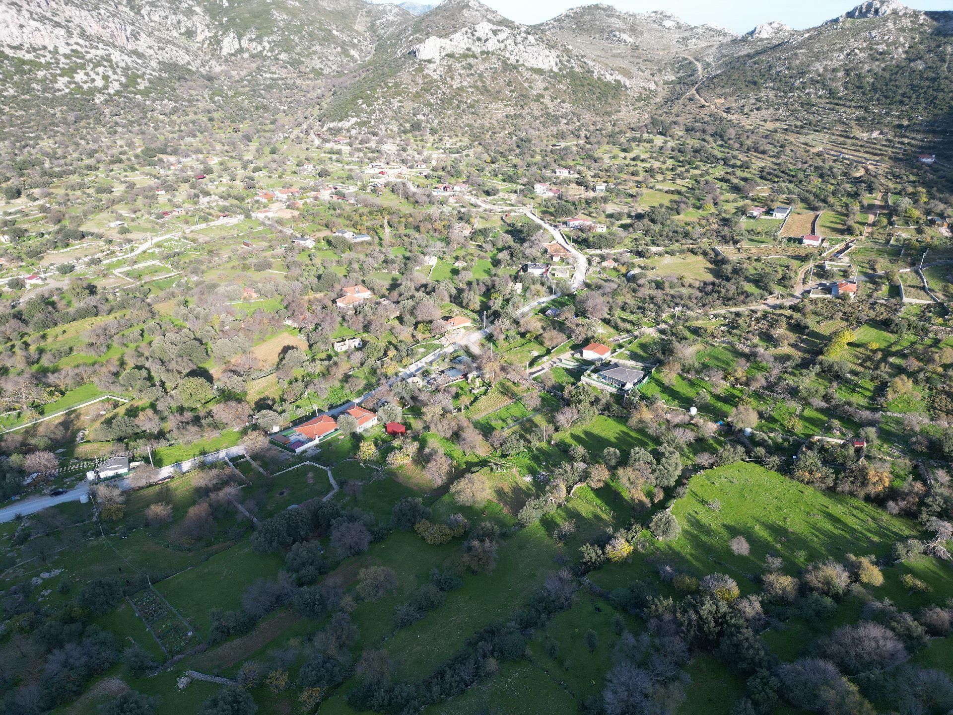 Joker: Marmaris Söğüt Resmi Yol Cepheli Doğa İçinde Tarla - Görsel 17