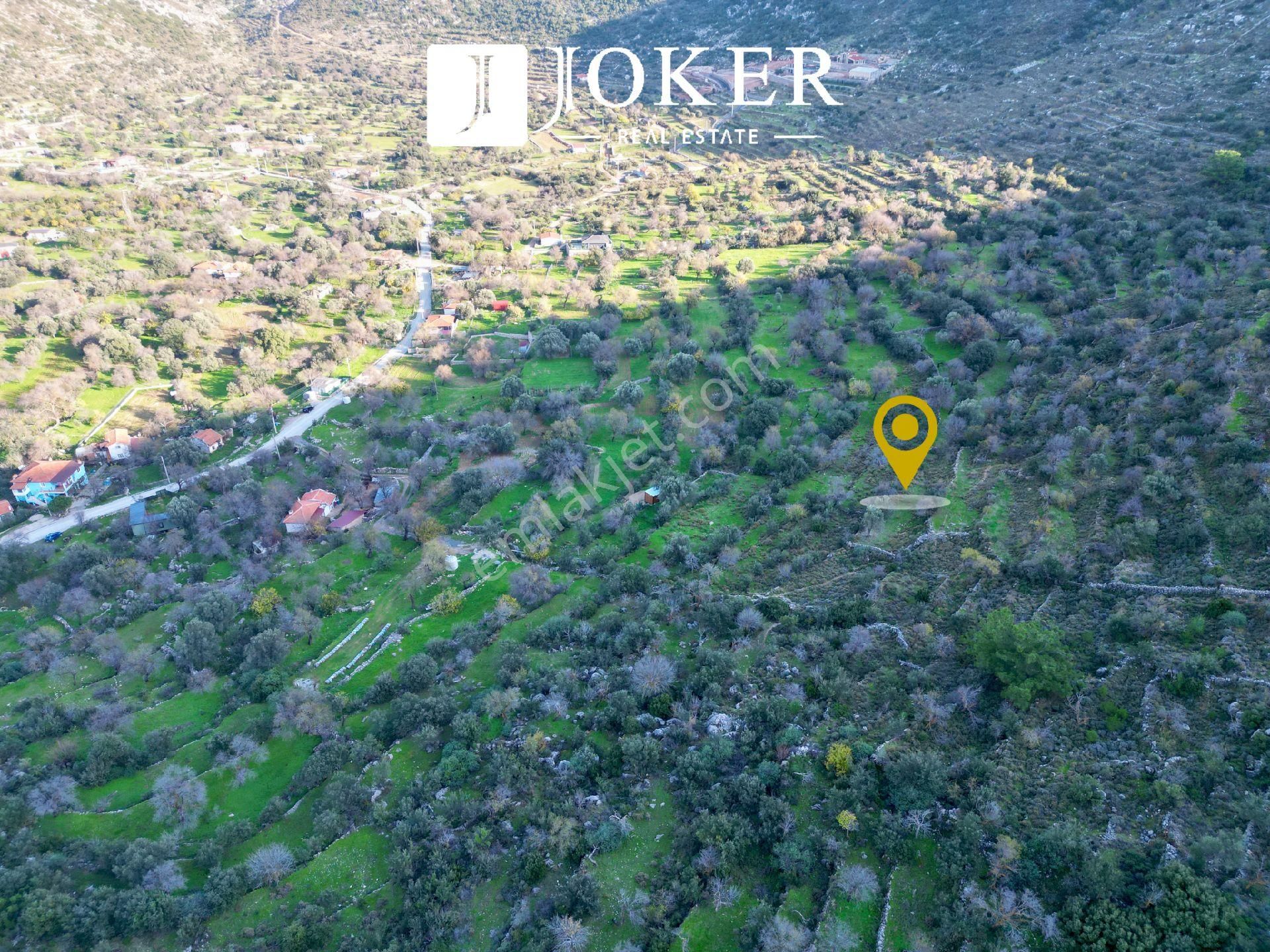 Joker: Marmaris Söğüt Resmi Yol Cepheli Doğa İçinde Tarla - Görsel 4